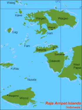 Misool en bas à gauche de la carte.