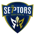 Logo du Saran Loiret Handball