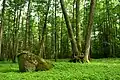 Site naturel sacréé d'Hiis (en)