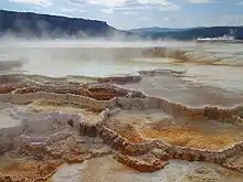 Photographie montrant des vasques calcaires desquels s'échappent de la vapeur.